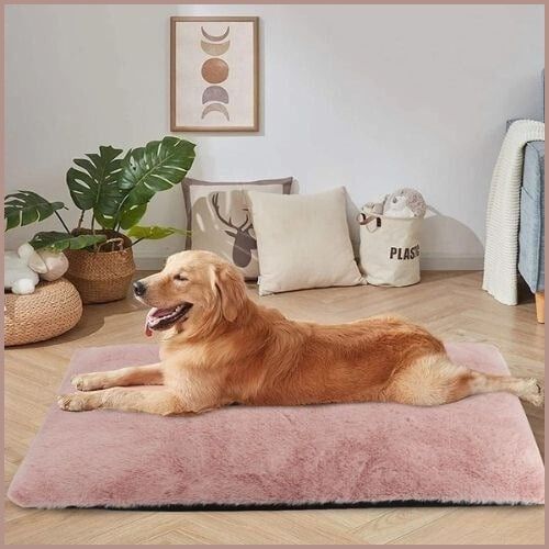 tapis-pour-chien_déhoussable-doux-et-confortable-rose