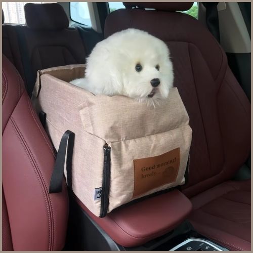 transport-chien-voiture-entre-les-sièges-avant-beige