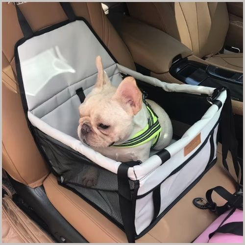 transport-chien-voiture_gris