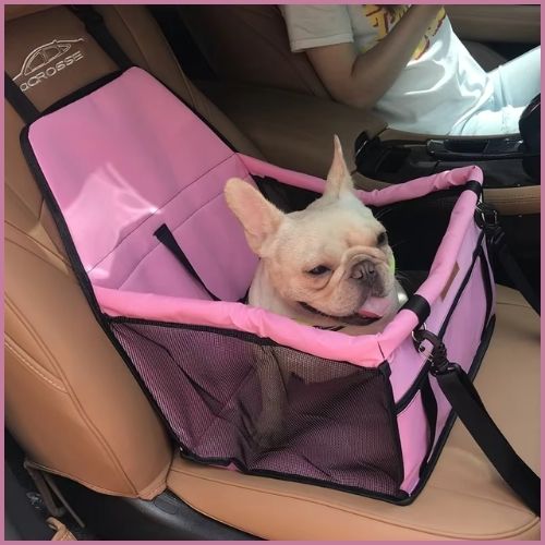 transport-chien-voiture_rose